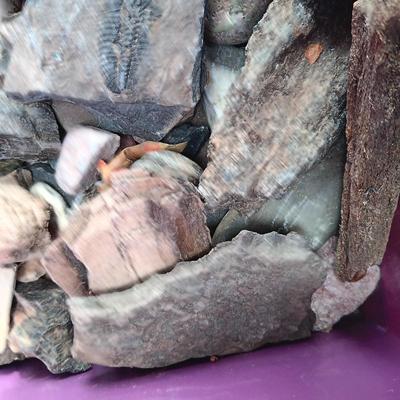 ROCKS, FOSSIL AND WHO KNOWS WHAT ELSE