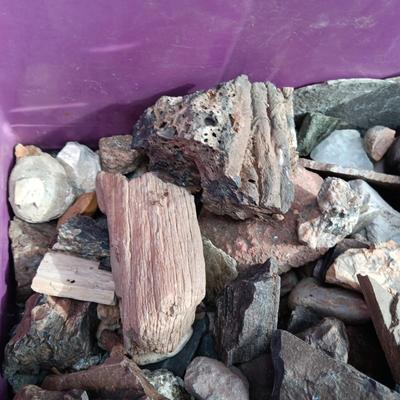 ROCKS, FOSSIL AND WHO KNOWS WHAT ELSE