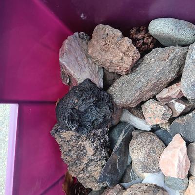 ROCKS, FOSSIL AND WHO KNOWS WHAT ELSE