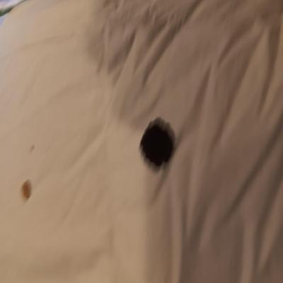 FULL/QUEEN BEDSPREAD, FULL DOWN DUVET, PILLOW SHAMS AND CASES