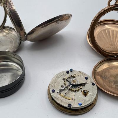 Asst. of Watch Cases & Watch