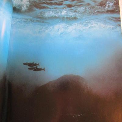 The National Geographic Society 100 Yrs of Adventure & Discovery Book