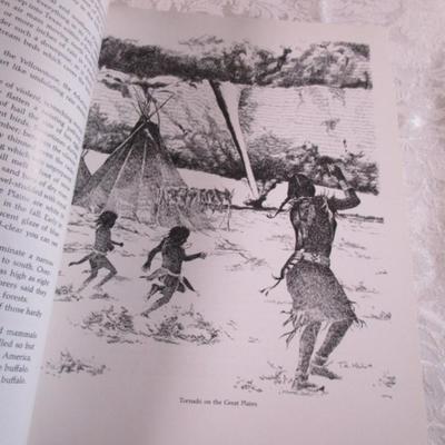 The Mystic Warriors of the Plains Book