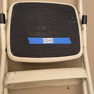 Cosco Step Ladder