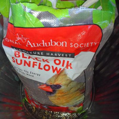Black Oil Sunflower Bird Seed- Majority of 40 lb Bag