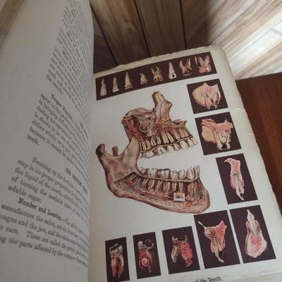 Antique 'Health and Longevity' 1913 Illustrated Edition Home Health Society New York Publisher