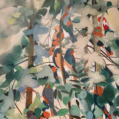 Bird Hierarchy by Jack Lerman (BC-BM)