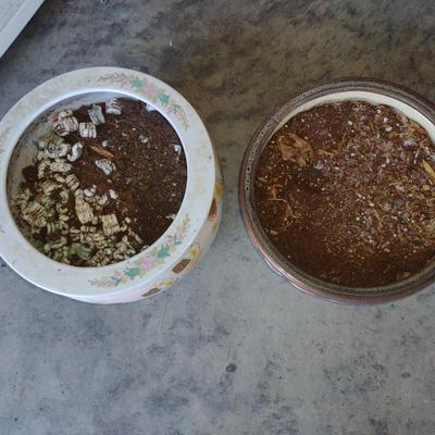 Pair of Large Ceramic Planter Pots