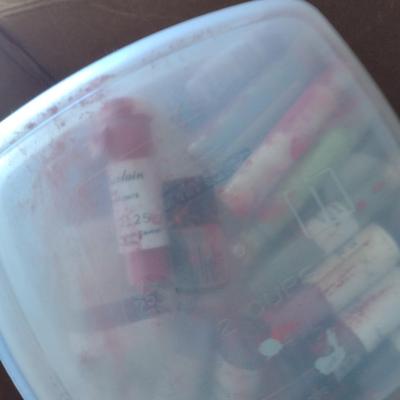 Collection of Paints, Paint Pigments, Paint Saver Palette Boxes, and Painting Accessories (Paints #6)
