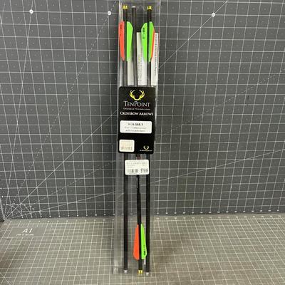 3 Pack of 10 Point Crossbow Arrows 