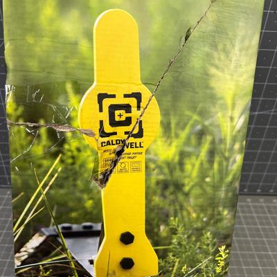 CALDWELL Auto Reset Target, New 