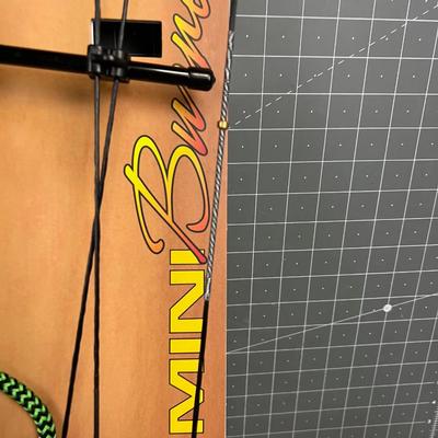 Youth Bow 