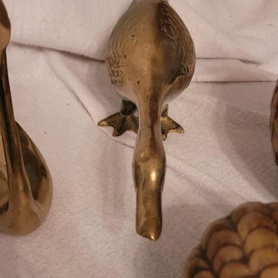 Birds, birds and birds