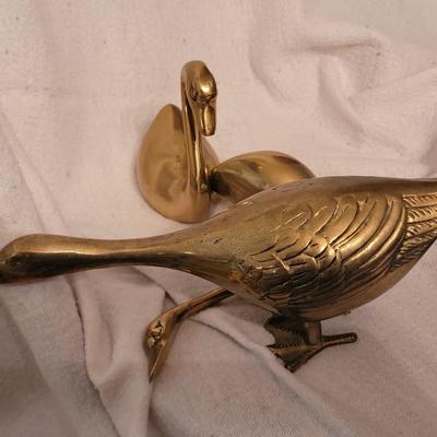 Birds, birds and birds