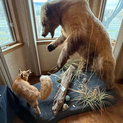 Upright Grizzly Bear & Fox Taxidermy Piece on Base