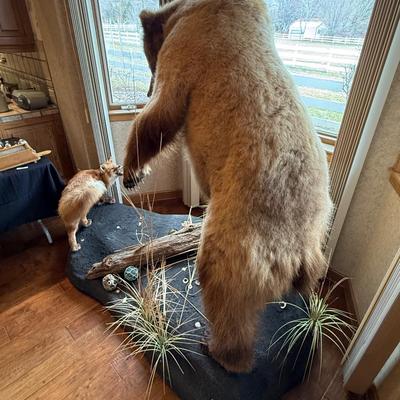 Upright Grizzly Bear & Fox Taxidermy Piece on Base