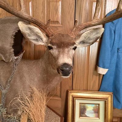 Pair of Deer head mounts on Octagonal rolling stand
