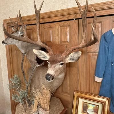 Pair of Deer head mounts on Octagonal rolling stand