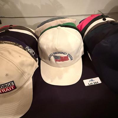 Huge lot of various Ball Caps/Hats