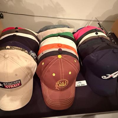 Huge lot of various Ball Caps/Hats