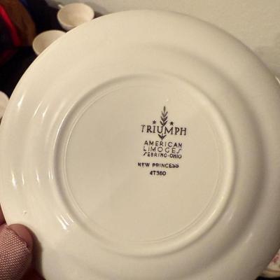 Triumph American Limoge New Princess 4T360 China Set
