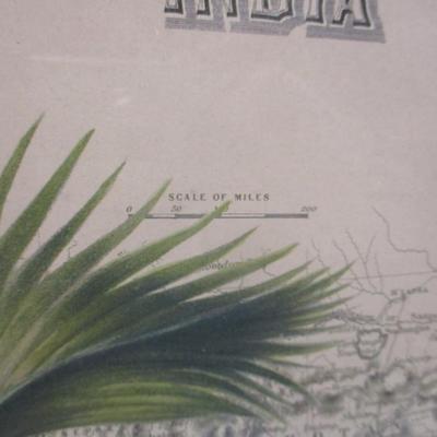 Global View Palm Trees India & Africa Map Prints Approx 23" x 19"
