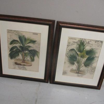 Global View Palm Trees India & Africa Map Prints Approx 23" x 19"