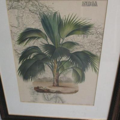 Global View Palm Trees India & Africa Map Prints Approx 23" x 19"