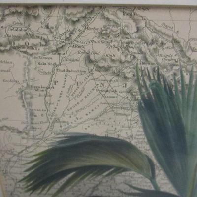 Global View Palm Trees India & Africa Map Prints Approx 23" x 19"