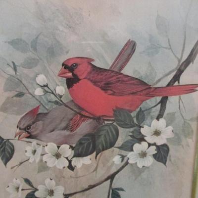 Vintage F. Massa Artwork Print Cardinals Perched On Tree Approx 15" x 19 1/2"