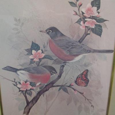 Vintage F. Massa Artwork Print Birds Perched On Tree Approx 15" x 19 1/2"