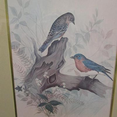 Vintage F. Massa Artwork Print Birds Perched On Tree Approx 15" x 19 1/2"