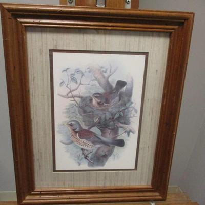 Vintage Thrush Bird Print Approx 13 1/2" x 16 1/2"