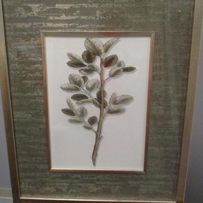 3 - Botanical Prints With Nice Matting Aprox 18 1/4" x 22"