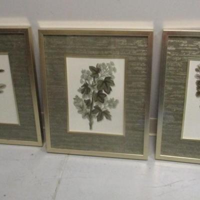 3 - Botanical Prints With Nice Matting Aprox 18 1/4" x 22"