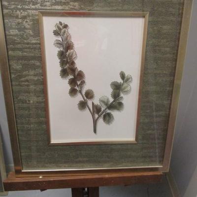 3 - Botanical Prints With Nice Matting Aprox 18 1/4" x 22"