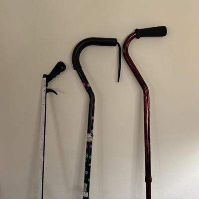 Canes and Picker Upper
