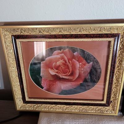 Rose art, solid frames