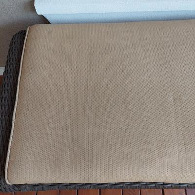 Artificial Rattan Wicker Storage Bench (D-BBL)