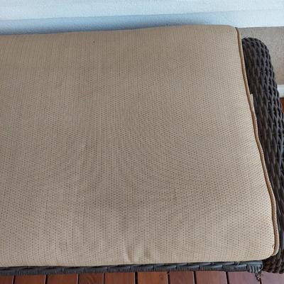 Artificial Rattan Wicker Storage Bench (D-BBL)