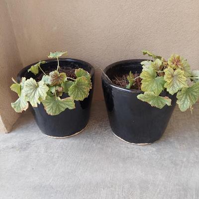 Blue Ceramic Pots (Y-BBL)