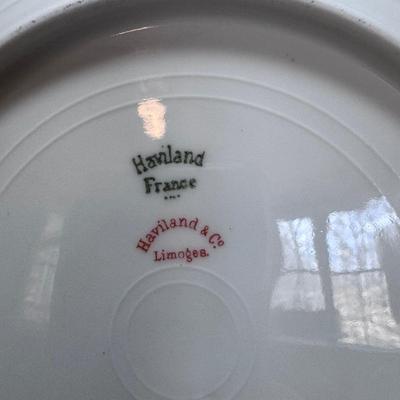 Haviland Limoges France Clover Leaf China (LR-DZ)