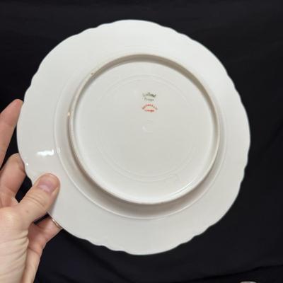 Haviland Limoges France Clover Leaf China (LR-DZ)