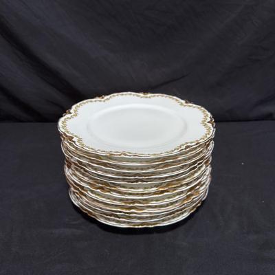 Haviland Limoges France Clover Leaf China (LR-DZ)