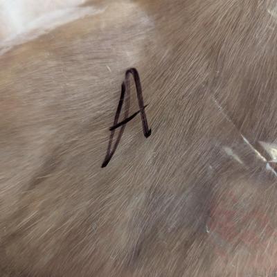 Vintage Unbranded Fur Collars Lot A