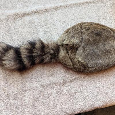 Raccoon Skin Cap