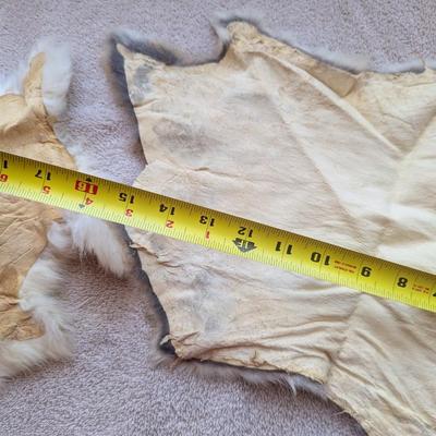 Pair Of Fur Remnants