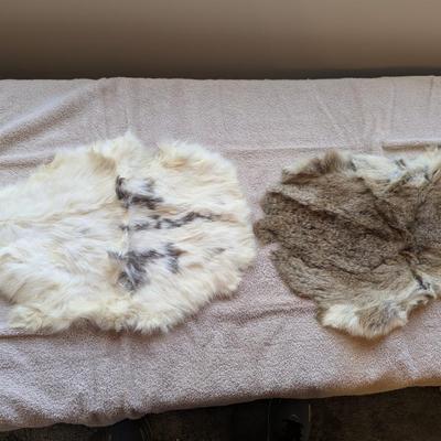 Pair Of Fur Remnants