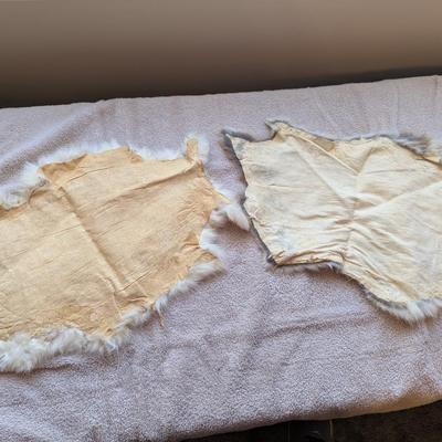 Pair Of Fur Remnants