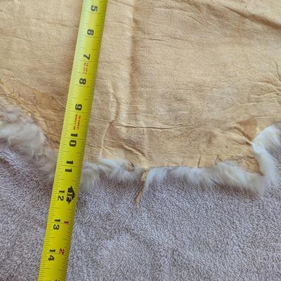 Pair Of Fur Remnants